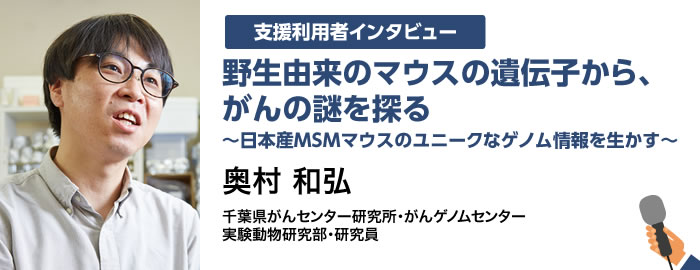 野生由来のマウスの遺伝子から、がんの謎を探る 〜日本産MSMマウスのユニークなゲノム情報を生かす〜 奥村 和弘 千葉県がんセンター研究所・がんゲノムセンター実験動物研究部・研究員